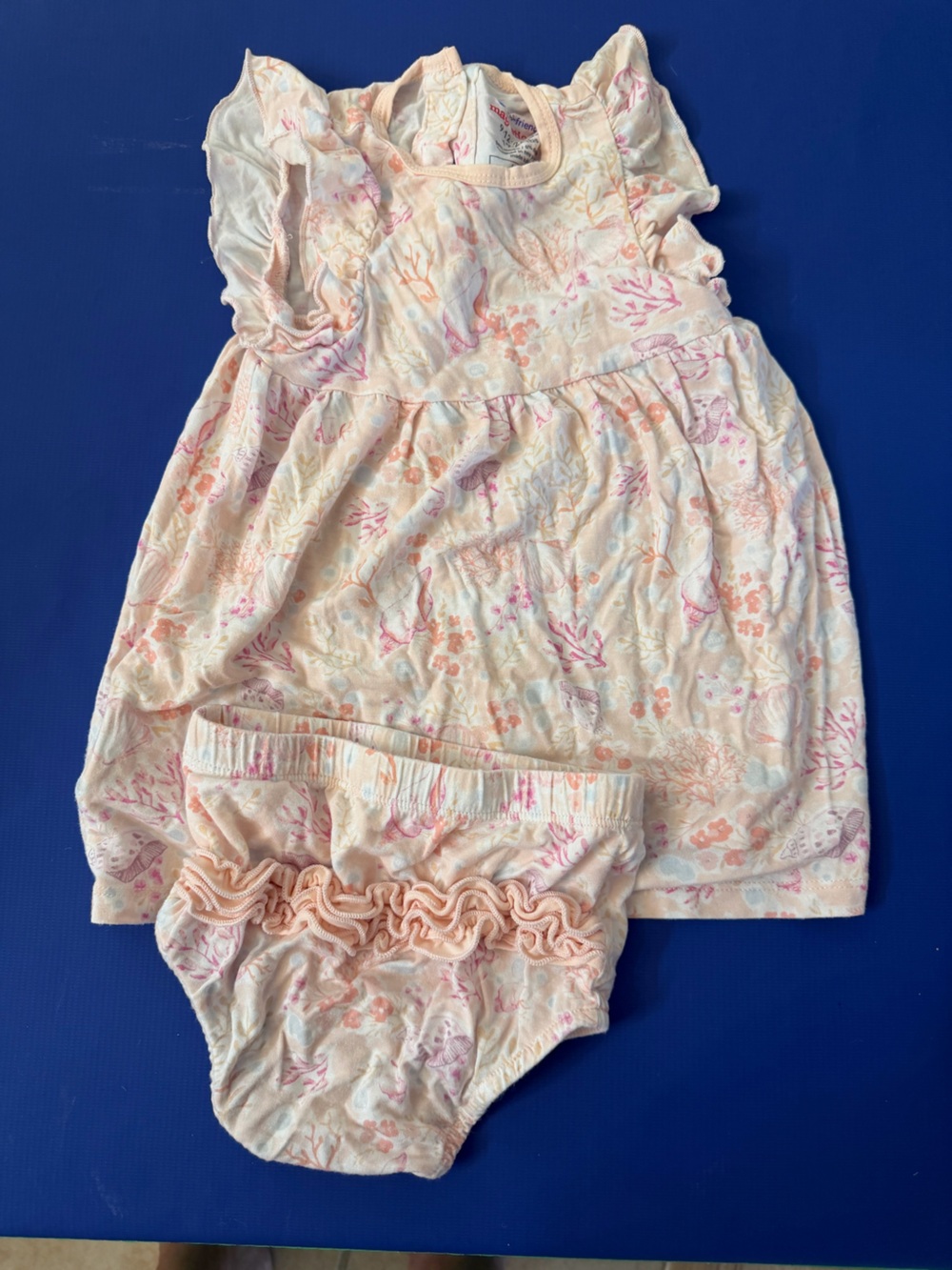 Magnetic Me Cream and Pink Floral dress with bloomers